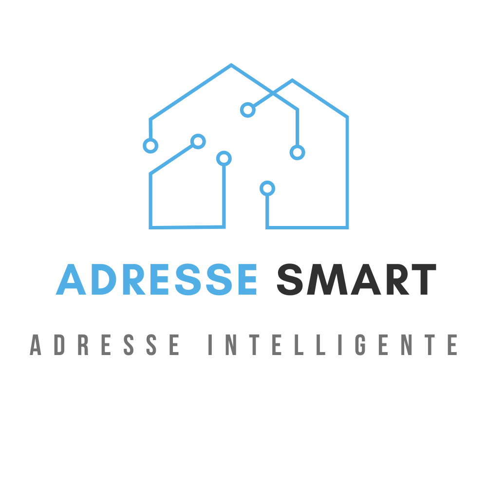 Adresse Smart - Dolibarr MarketPlace