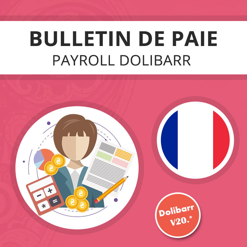 France payslip model Dolibarr - Dolibarr MarketPlace